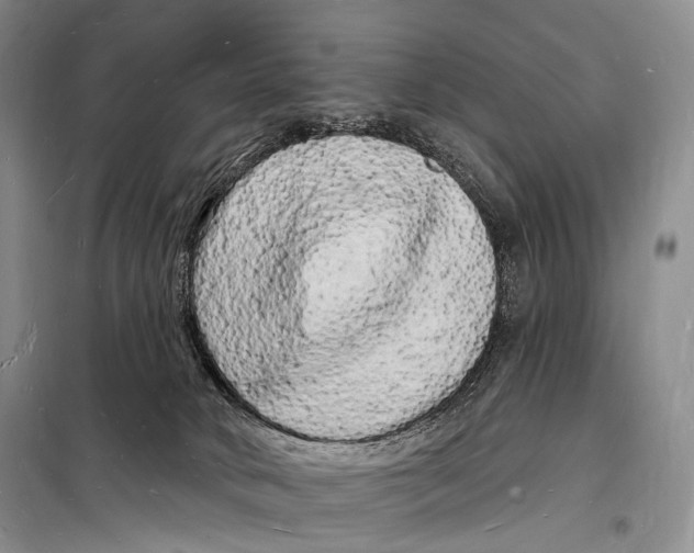 X0000098230034200805151351