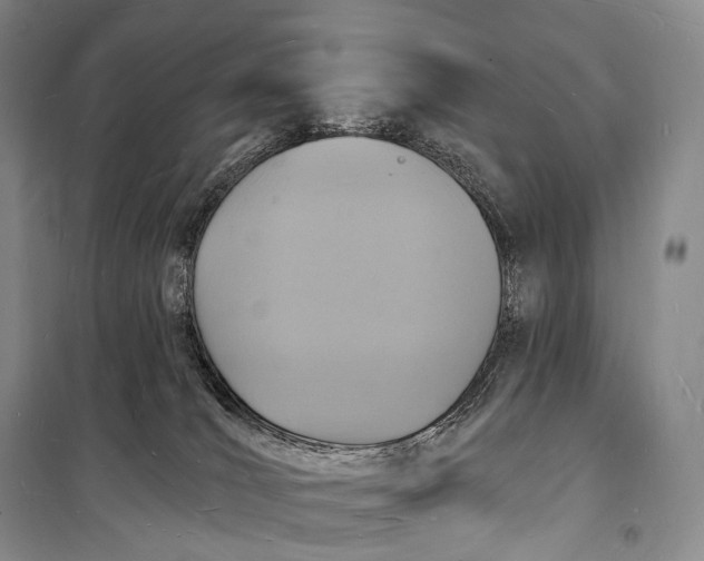 X0000098230036200805151351