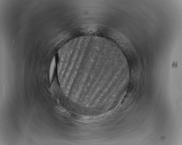 X0000098230037200805151351