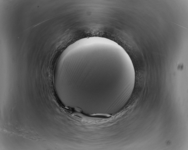 X0000098230039200805151351