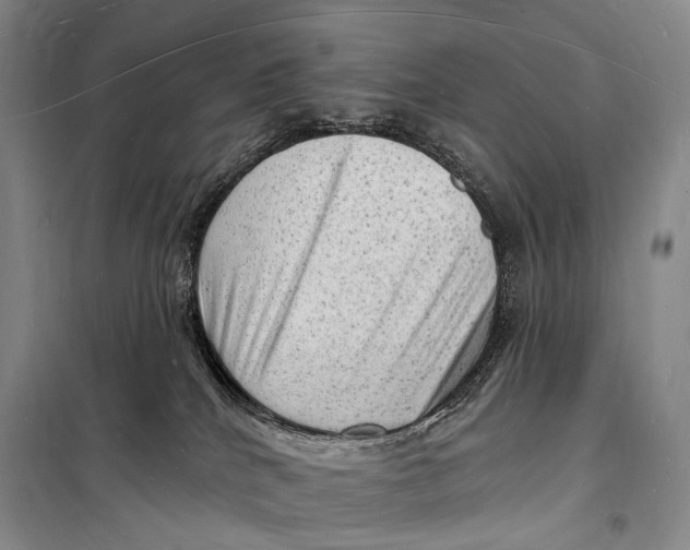 X0000098230040200805151351