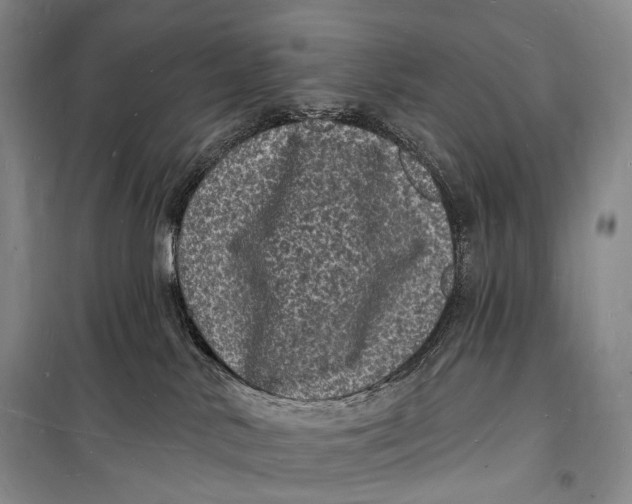 X0000098230042200805151351