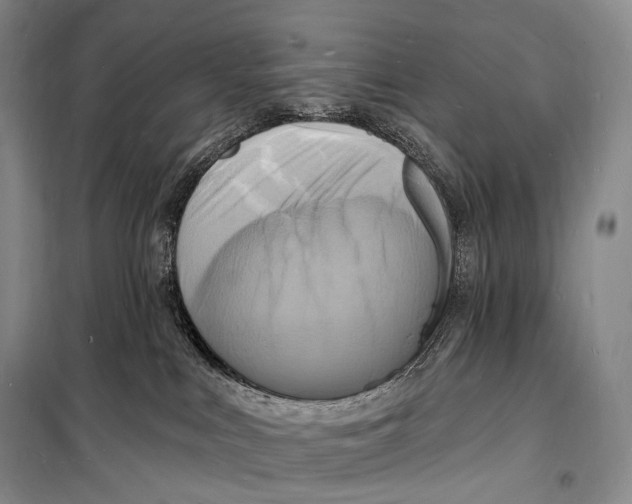 X0000098230043200805151351