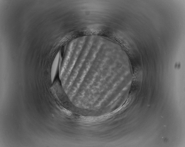 X0000098230045200805151351