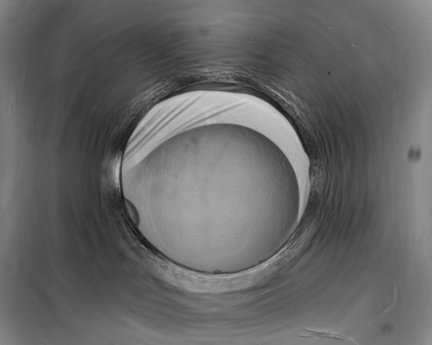 X0000098230047200805151351