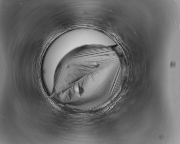 X0000098230049200805151351