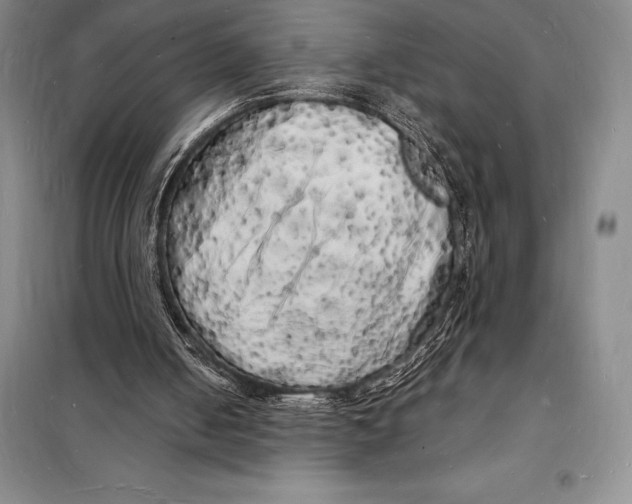 X0000098230050200805151351