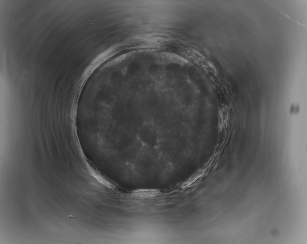 X0000098230051200805151351