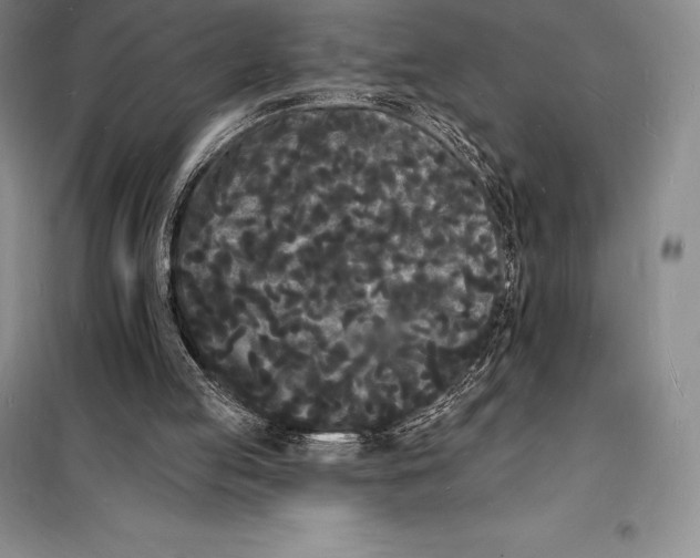 X0000098230053200805151351