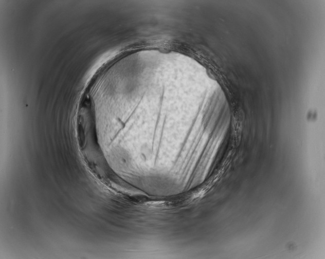 X0000098230054200805151351