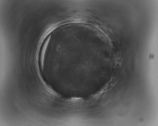 X0000098230055200805151351