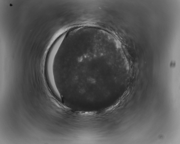 X0000098230056200805151351