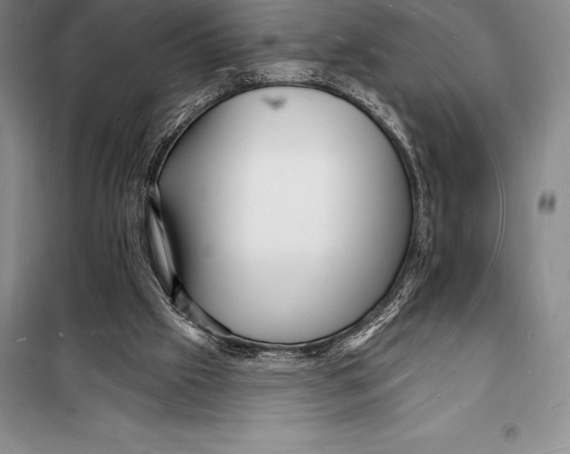 X0000098230057200805151351