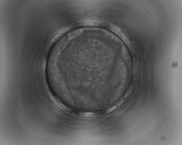 X0000098230058200805151351