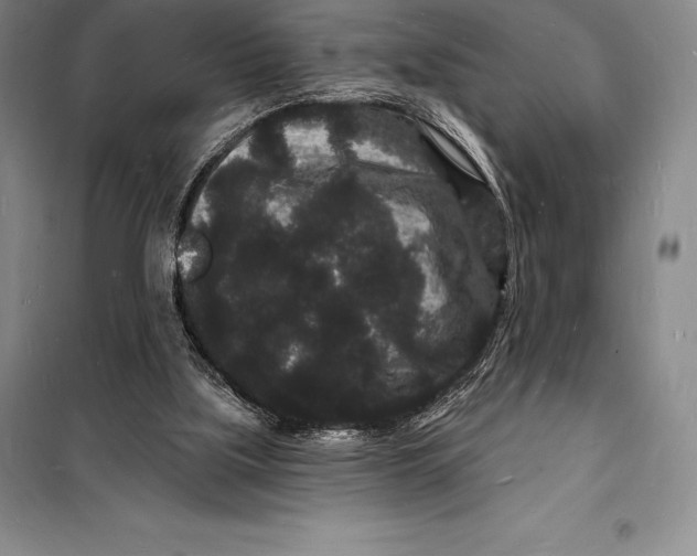 X0000098230059200805151351