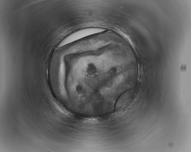 X0000098230061200805151351