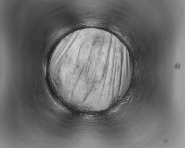 X0000098230062200805151351