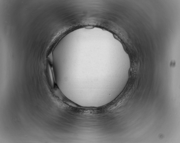 X0000098230064200805151351