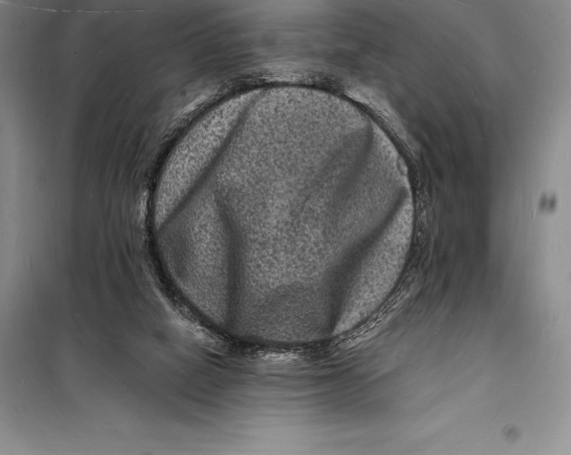 X0000098230066200805151351