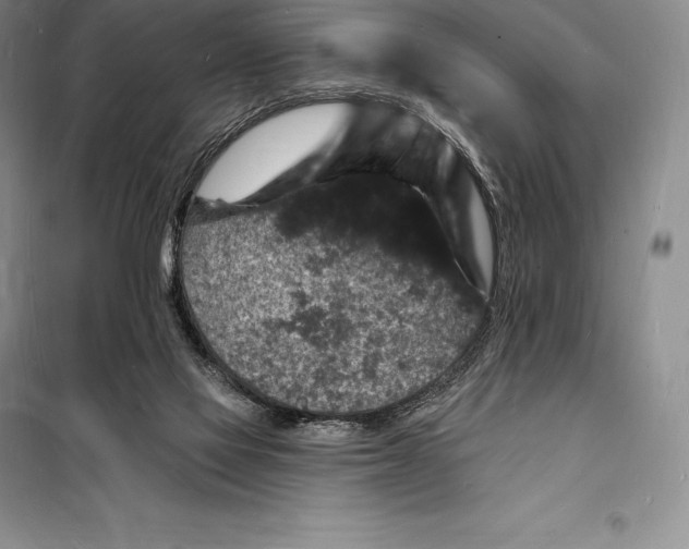 X0000098230069200805151351