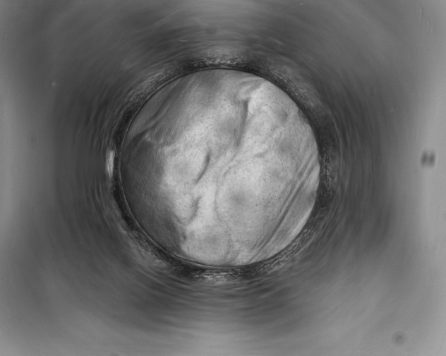 X0000098230070200805151351