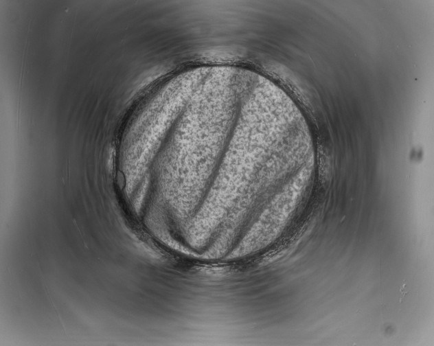 X0000098230071200805151351