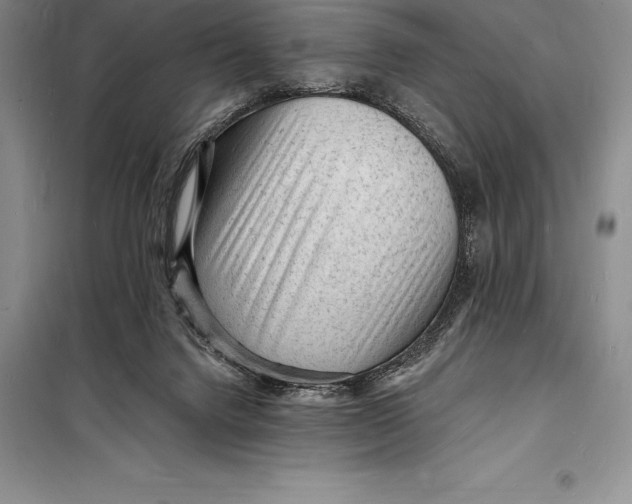 X0000098230072200805151351