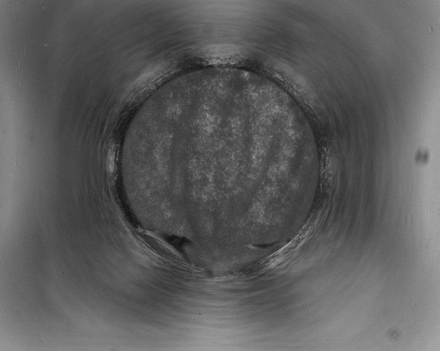 X0000098230074200805151351