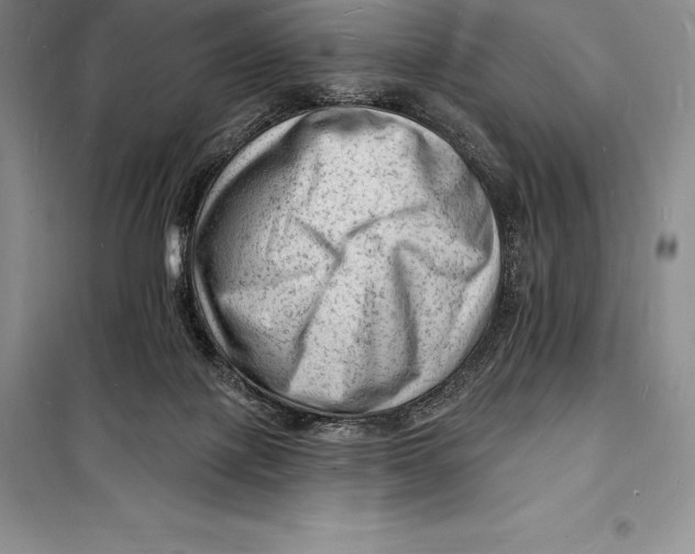 X0000098230075200805151351