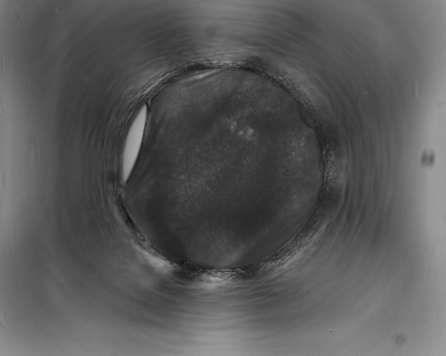 X0000098230076200805151351