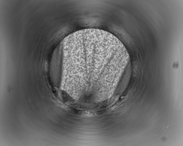 X0000098230077200805151351