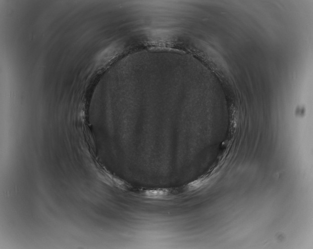 X0000098230080200805151351