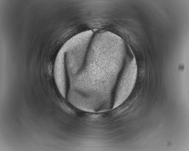 X0000098230081200805151351