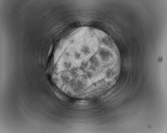 X0000098230082200805151351