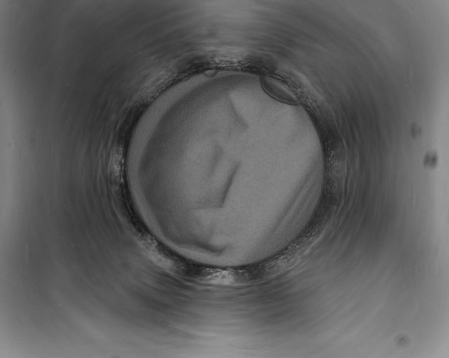 X0000098230083200805151351