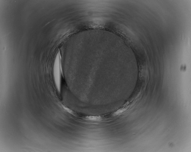 X0000098230084200805151351