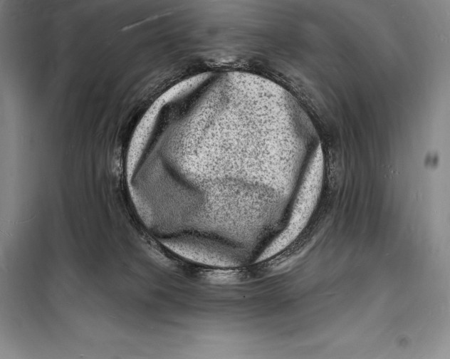 X0000098230085200805151351