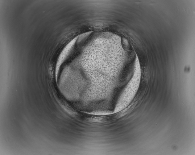 X0000098230086200805151351