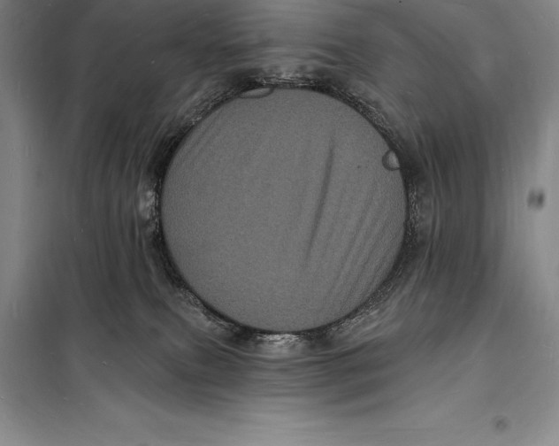 X0000098230087200805151351