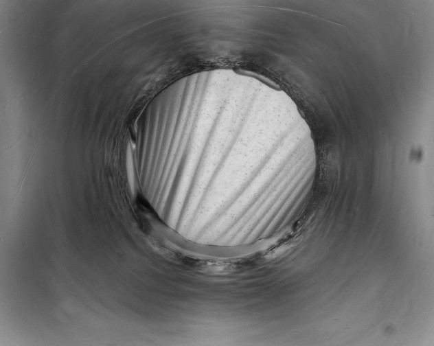 X0000098230088200805151351