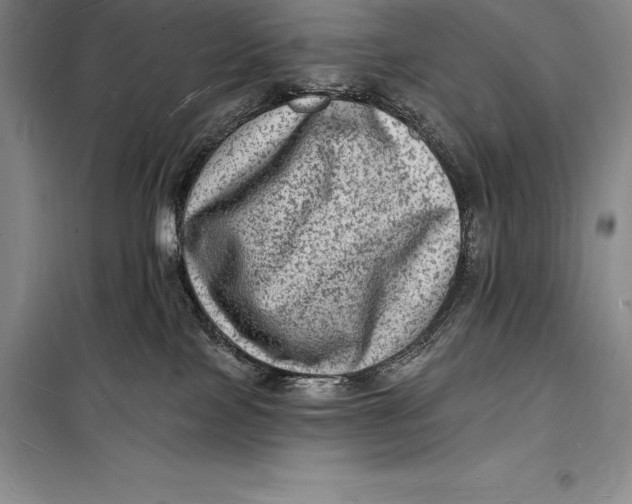 X0000098230089200805151351