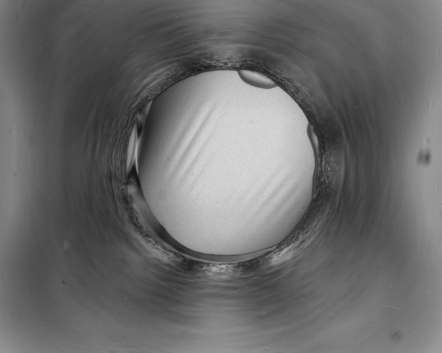 X0000098230092200805151351