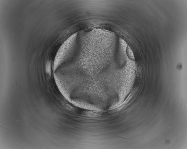 X0000098230094200805151351