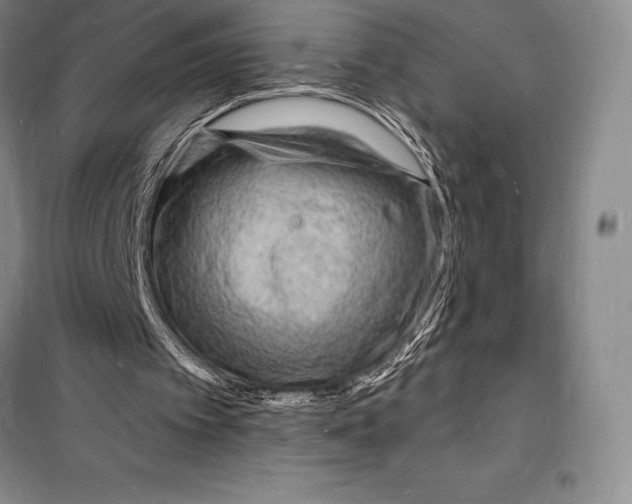 X0000098230097200805151351