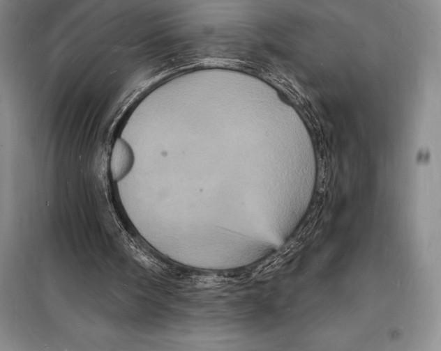 X0000098230098200805151351