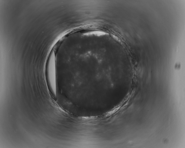 X0000098230100200805151351