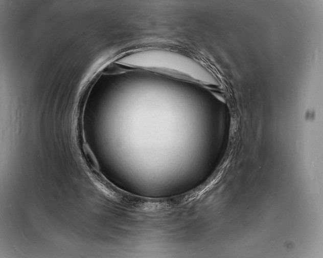 X0000098230101200805151351