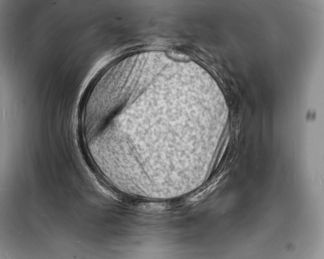 X0000098230102200805151351