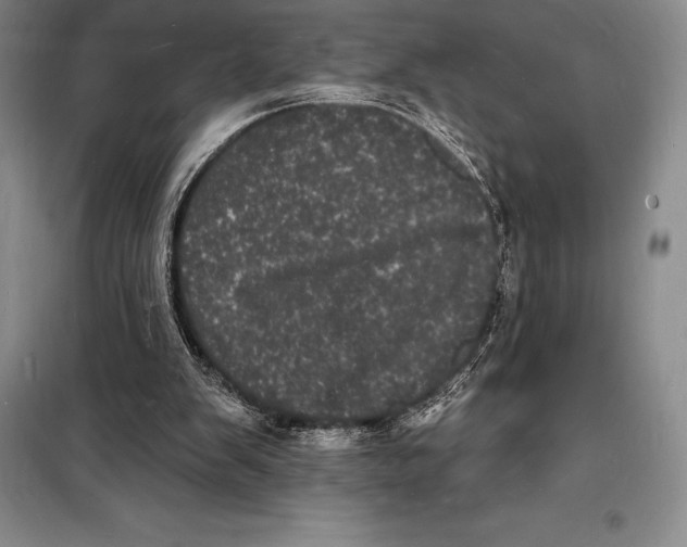 X0000098230103200805151350