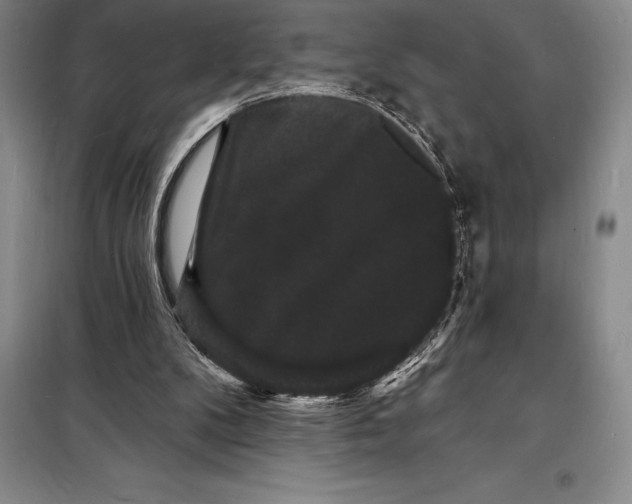 X0000098230104200805151350